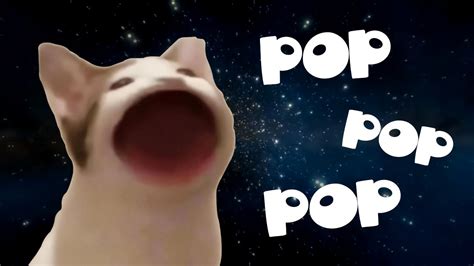 Popcat Meme Compilation Youtube