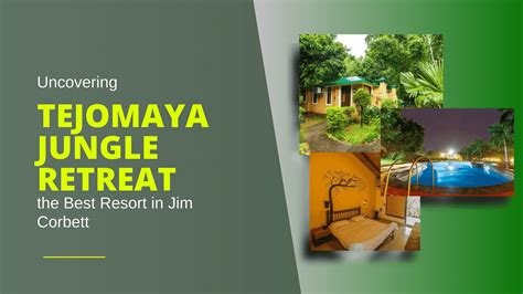 Homestay Near Kainchi Dham. In the pursuit of authentic travel… | by