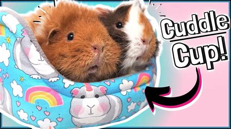 How To Make Your Own Guinea Pig Cuddle Cup Beds Tutorial And Sewing