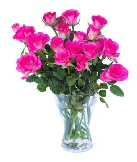 Pink Roses Huge Bouquet In Glass Vase Isolated On White Stock Image