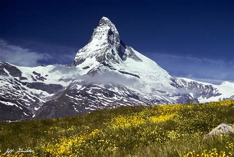 The Matterhorn With Alpine Meadow In Foreground Photograph By Jeff