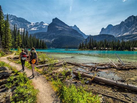 Hike Tip Lake Ohara In Yoho National Park Accessible By Pre Booked