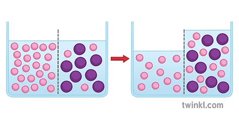 Membrana Semipermeable Ciencia Partículas ósmosis Ks3 Ks4 Illustration