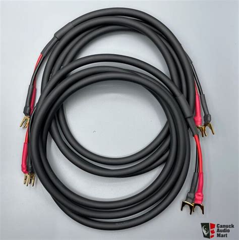 Gotham Audio Speaker Cable Pair Spade Meter Photo Canuck Audio Mart