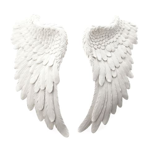 We have a massive amount of desktop and mobile backgrounds. Free Angel Wings, Download Free Angel Wings png images ...