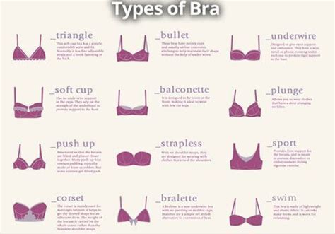 Types Of Bras 31 Styles To Suit Your Clothing Treasurie 54 Off