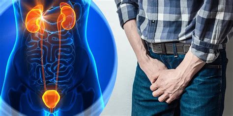 Prostatitis Types Causes And Symptoms