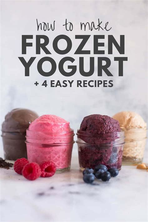 Easy Homemade Frozen Yogurt Maker Best Simple Options
