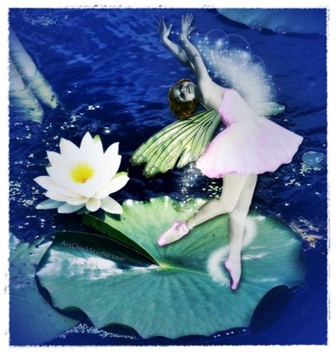 Lily Pad Flower Fairy Art Chick Studio