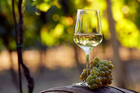 How White Wine Is Made Wine Enthusiast