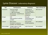 Clinical Trials For Lyme Disease Treatment Photos