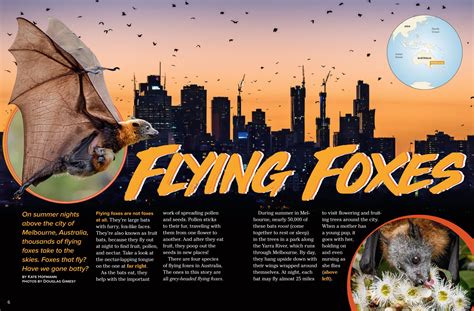 Flying Foxes Nwf Ranger Rick
