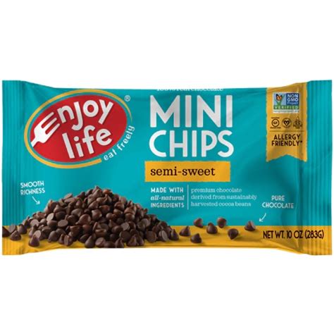 Comprar Enjoy Life Semi Sweet Chocolate Mini Chips 10 Oz Preço No