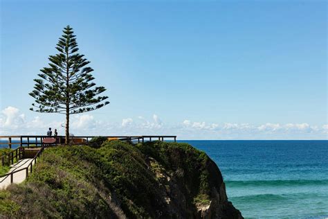 One Tree Point Lookout And Picnic Area Nsw Holidays And Accommodation