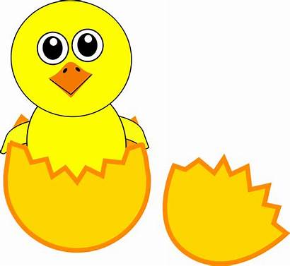 Egg Chick Cartoon Coming Newborn Funny Clipart