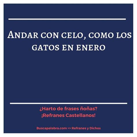 Refranes Y Frases De Celo Refranes Y Frases Que Hablan Sobre Celo