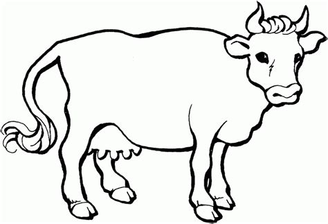 Cow Coloring Label Angus Cow Coloring Page Baby Cow Coloring Home