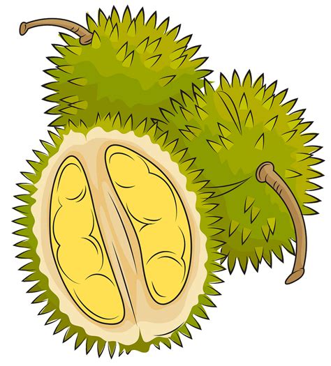 Durian Png Cartoon Clip Art Library