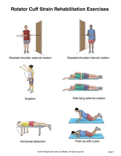 Physical Therapy Exercises For Rotator Cuff Repair Online Degrees