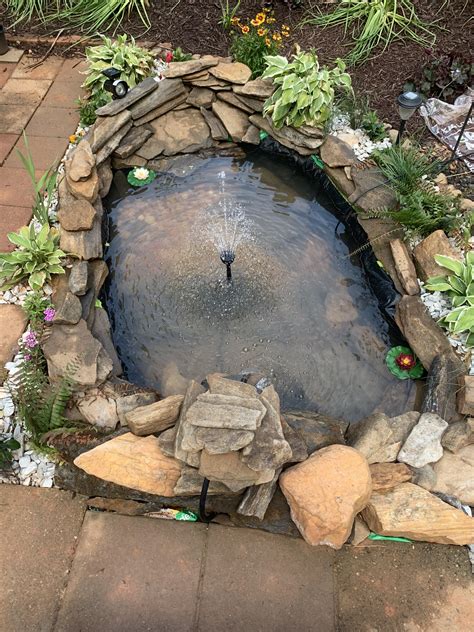 Turtle Pond Plants - Best Decorations