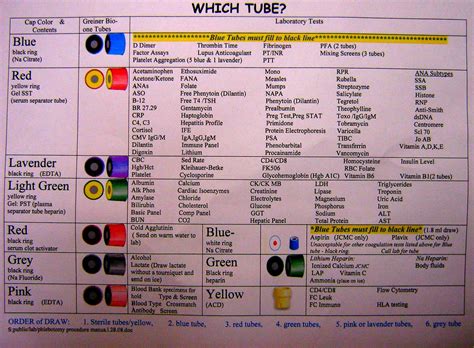 Which Tube Does This Go In Studies In Solitude Flickr