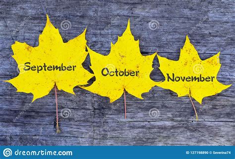 Septemberoctobernovemberyellow Autumn Leaves With Inscriptions On