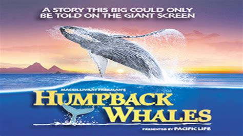 فيلم humpback whales 2015 مترجم اون لاين ايجي بست