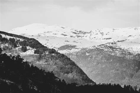 Grayscale Shot Of Mountains Covered In Trees And Snow In Hardanger