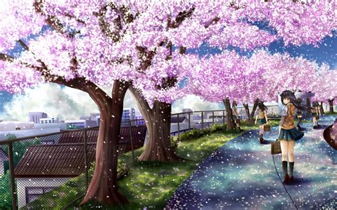 Anime Sakura Tree Live Wallpaper Sakura Cherry Blossom Wallpaper
