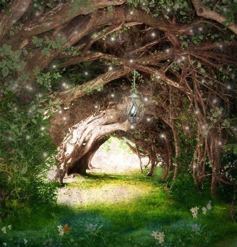 Beneath The Trees Life Is A Fairytale Forest Fairy Fantasy World