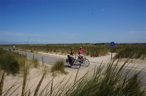 Bicycle Rental Europarcs Noordwijkse Duinen