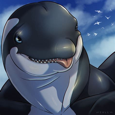 Fur affinity | for all things fluff, scaled, and feathered! Whale Mawshot Furaffinity - Into Orca V by TheoTheFox -- Fur Affinity dot net : Последние твиты ...