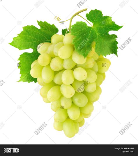 Isolated Grapes Bunch Image And Photo Free Trial Bigstock