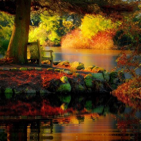 Autumn Reflections County Carlow Ireland Otoño