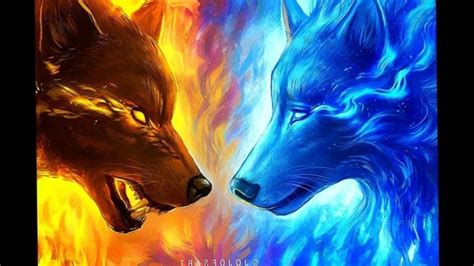 Water Wolf And A Ice Wolf Fire And Ice Ying Yang 1920x1080