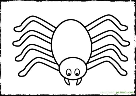 We hope you enjoyed this tutorial. Spider coloring pages to download and print for free