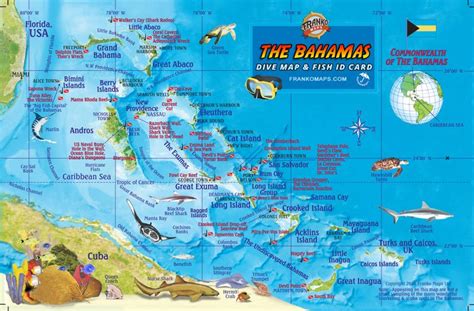 Franko Maps Bahamas Reef Creatures Card