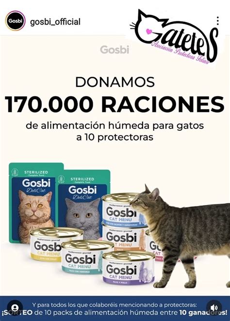 Super Sorteo De Asociación Protectora Felina Gatetes