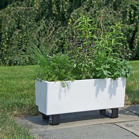 Self Watering Planter Box Diy Garden Furniture Gardening Design Diy
