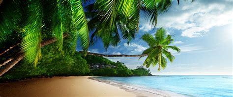 Download 3440x1440 Beach Palm Coast Ocean Waves Sand Tropical Wallpapers Wallpapermaiden