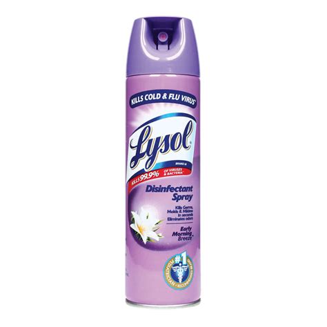 lysol early morning breeze 340 g online at best price in the philippines