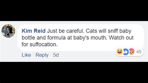 Verify Do Cats Suck The Breath Out Of Babies And Suffocate Them