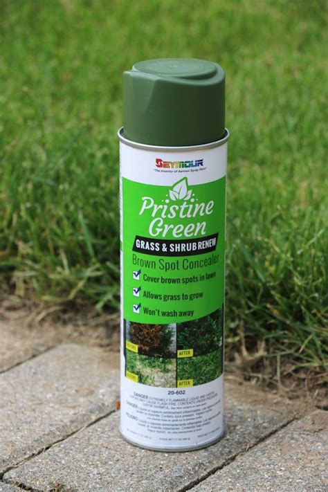 Painting Plants - Sincerely, Sara D. | Home Decor & DIY Projects