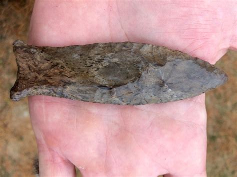 Grade 10 Paleo Cumberland From Hornstone Blue Ridge Mountains Wcoa