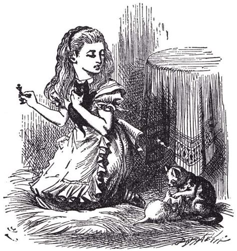 Nae Design Alice In Wonderland Illustrations John Tenniel Alices
