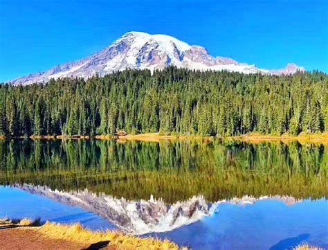 Best Mount Rainier National Park One Day Tour From Seattle