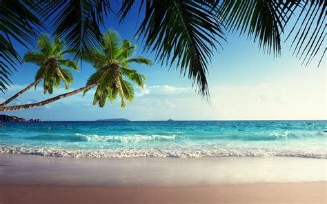 Free Download Paradise Sunshine Beach Sky Tropical Blue Coast Wallpaper