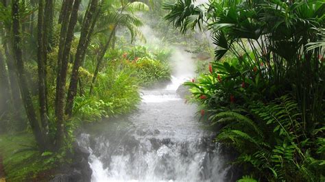 Rainforest Waterfall Wallpapers Top Free Rainforest Waterfall