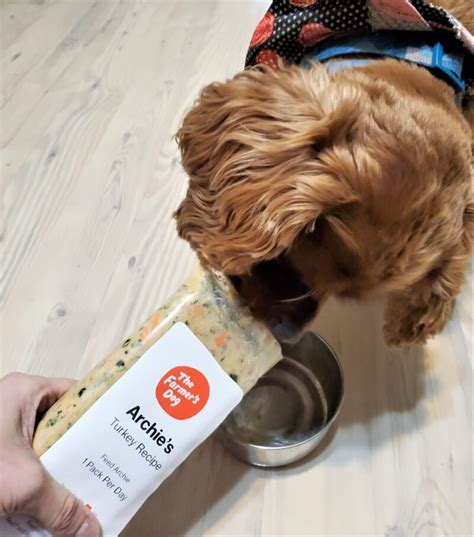 Generally, the farmer's dog has positive reviews regarding their innovative approach in providing fresh and healthy meals for dogs. Unbiased The Farmer's Dog Food Review 2020 - We're All ...