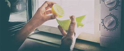 Farlo con bicarbonato, aceto, limone e/o sale oppure comprando dei prodotti appositamente confezionati. Come pulire il forno a microonde con prodotti naturali ...